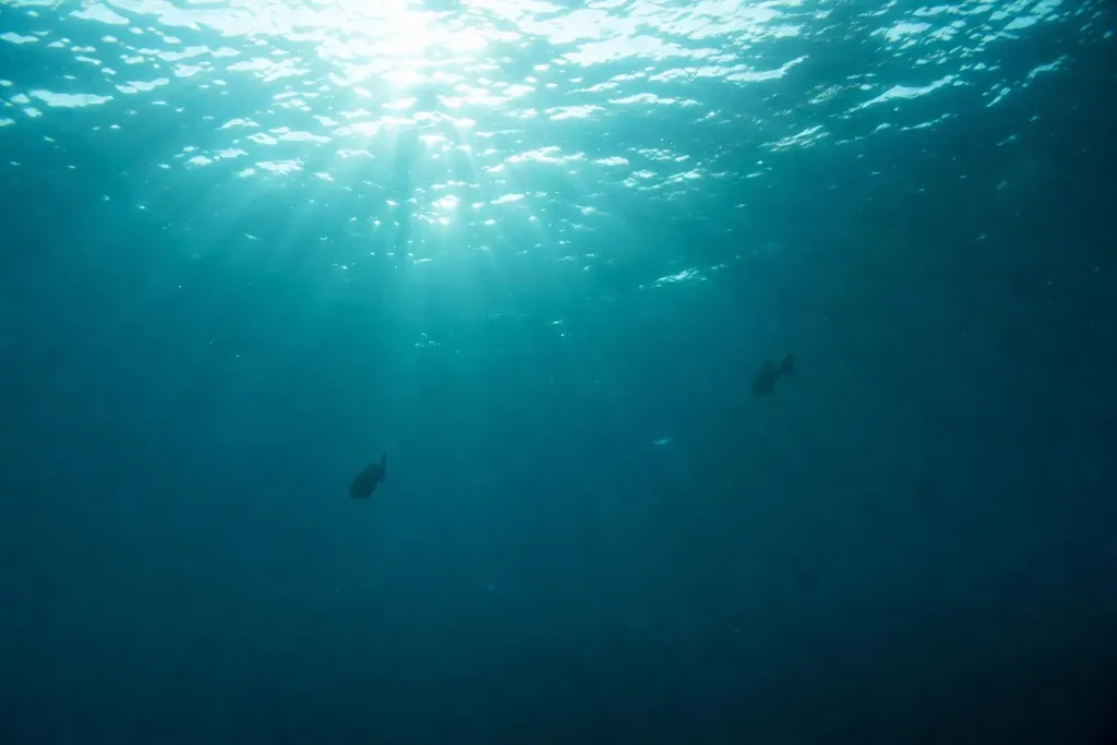 Superficie del agua vista desde abajo, con haces de luz (imagen generada con AI)