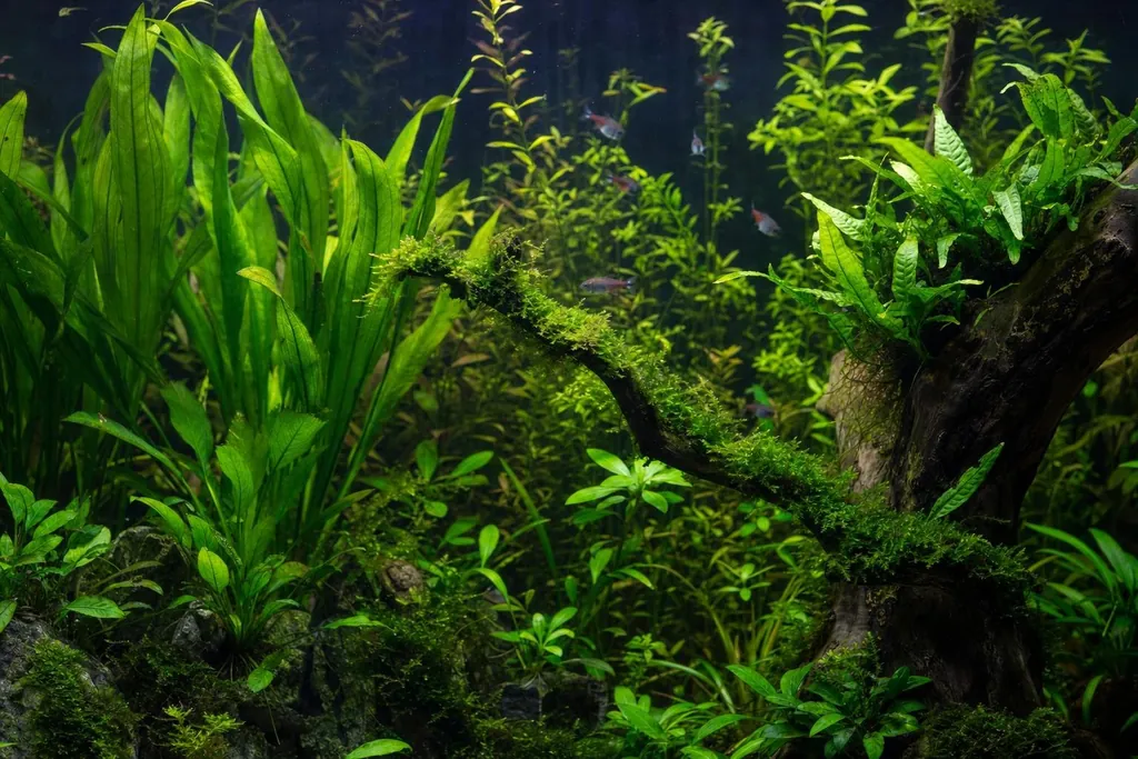 Acuario plantado con plantas de hoja ancha, plantas de tallo y un tronco cubierto de musgo (imagen generada con AI)